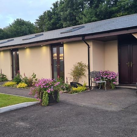 The Old Mountain Stables Caerllwyn Ganol Farm Apartment Newport  Exterior photo
